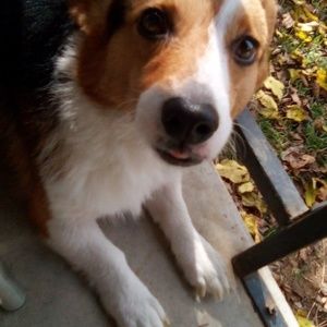 Meet your Posher, Mae